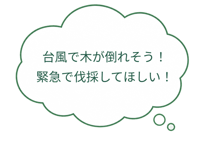 台風についての悩み